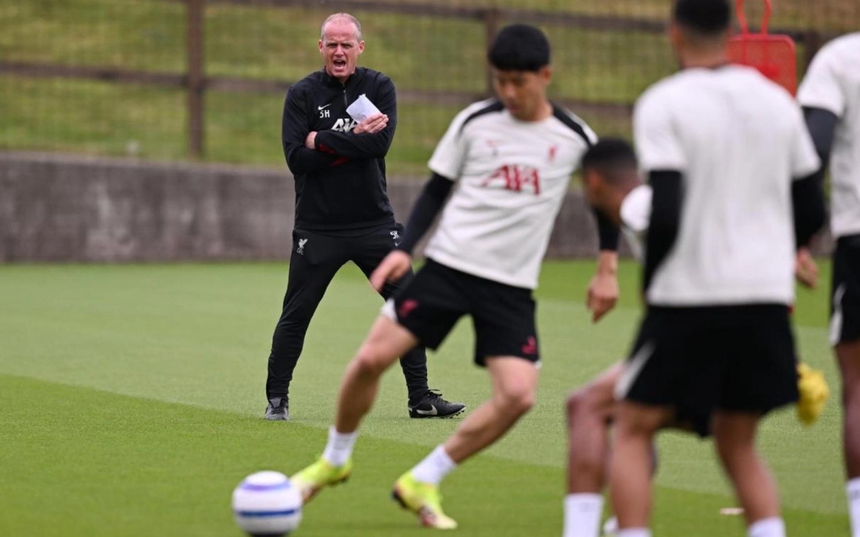 本菲卡支持 本菲卡支持