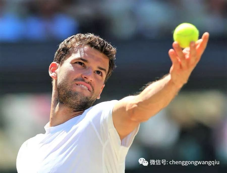 令今夏的转 令今夏的转